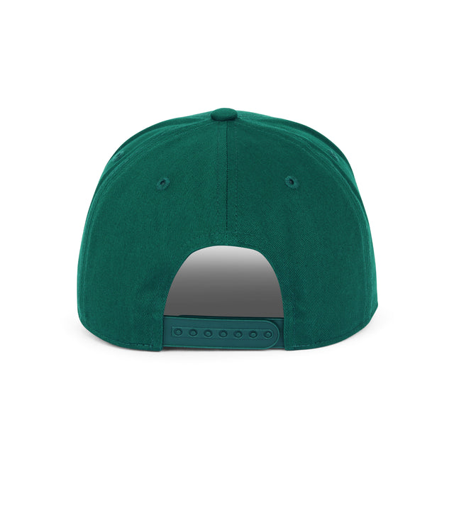 Dad Snapback