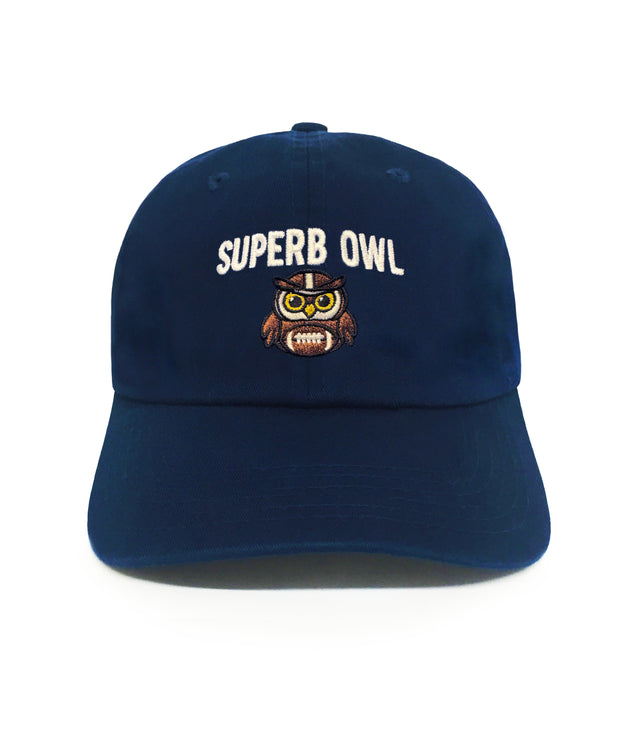 Superb Owl